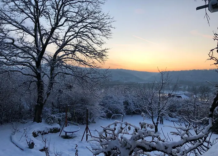 Ueber Den Daechern Von Koblenz - Aussichts-Wohnung Naturpark Rheinblick, Ruhig, Zentrumsnah, Sport-Pool