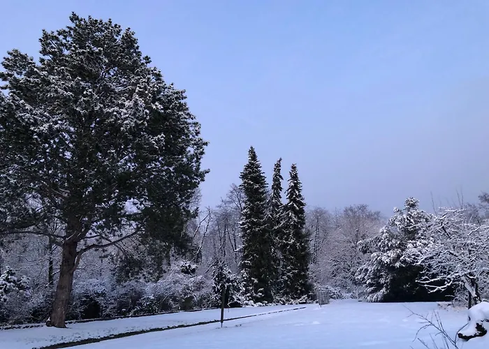 Ueber Den Daechern Von Koblenz - Aussichts-Wohnung Naturpark Rheinblick, Ruhig, Zentrumsnah, Sport-Pool