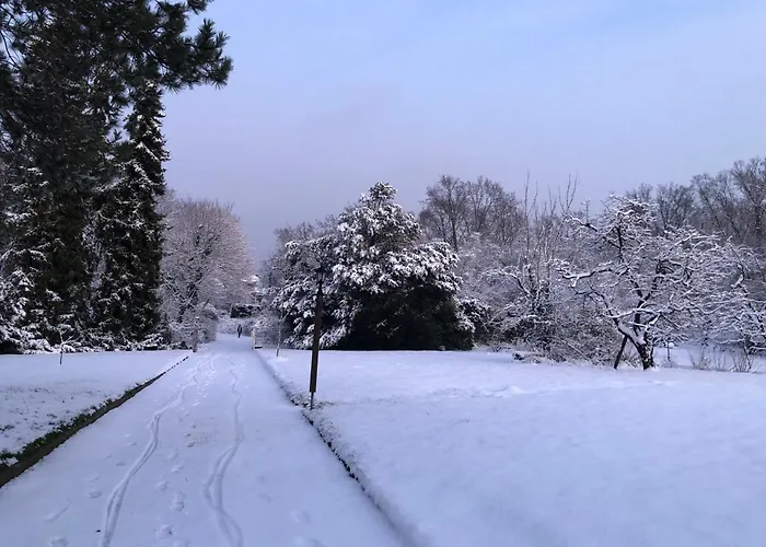 Ueber Den Daechern Von Koblenz - Aussichts-Wohnung Naturpark Rheinblick, Ruhig, Zentrumsnah, Sport-Pool
