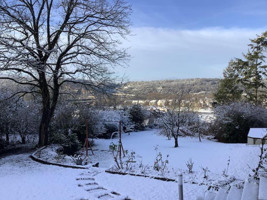Apartment Uber Den Dächern: Aussichts-wohnung Mit Rheinblick Und Sport-pool Koblenz (Rhineland-Palatinate)