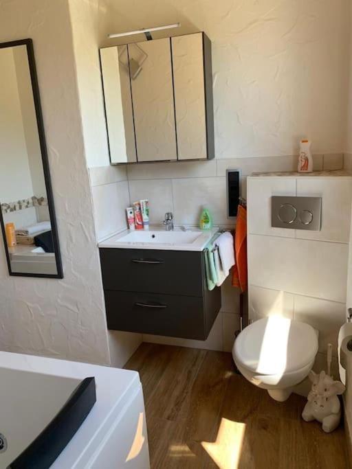 Apartment Uber Den Dächern: Aussichts-wohnung Mit Rheinblick Und Sport-pool *
