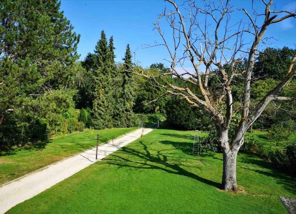 Uber Den Dächern: Aussichts-wohnung Mit Rheinblick Und Sport-pool *