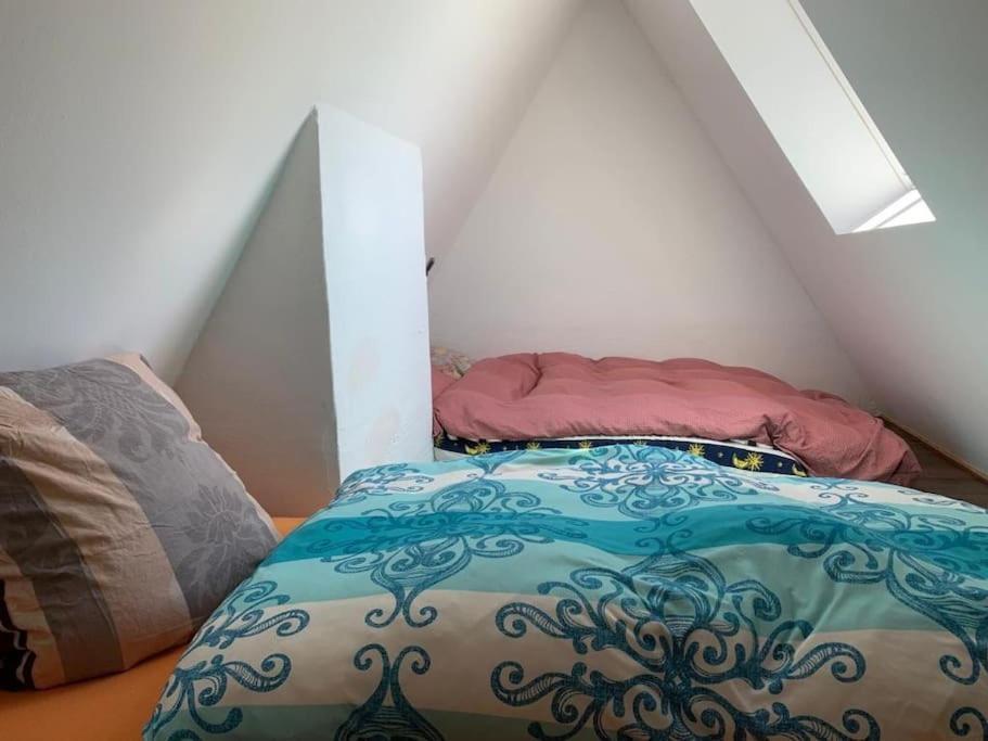 Apartment Uber Den Dächern: Aussichts-wohnung Mit Rheinblick Und Sport-pool Koblenz (Rhineland-Palatinate)