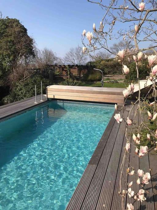 Uber Den Dächern: Aussichts-wohnung Mit Rheinblick Und Sport-pool Apartment