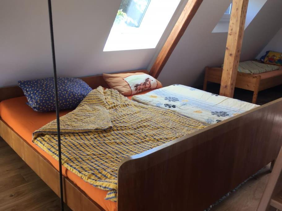 Apartment Uber Den Dächern: Aussichts-wohnung Mit Rheinblick Und Sport-pool