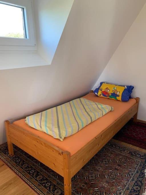 Uber Den Dächern: Aussichts-wohnung Mit Rheinblick Und Sport-pool Apartment *