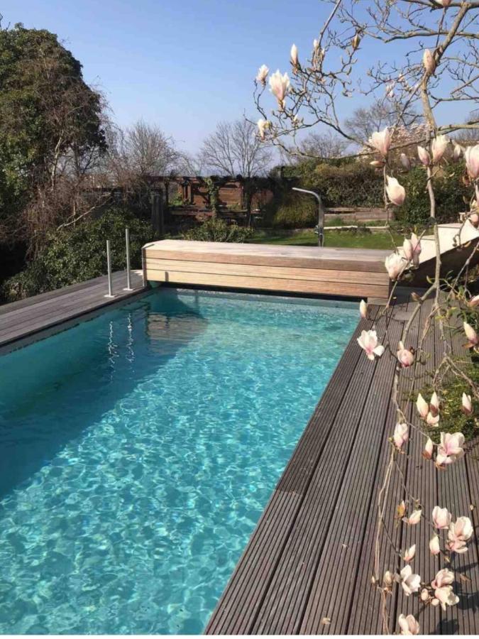 Uber Den Dächern: Aussichts-wohnung Mit Rheinblick Und Sport-pool Apartment *
